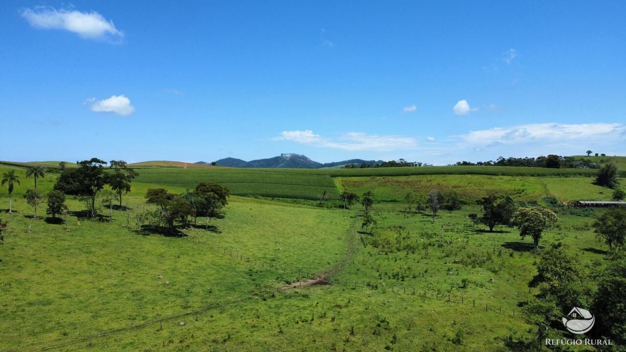 Fazenda, 82 hectares - Foto 10