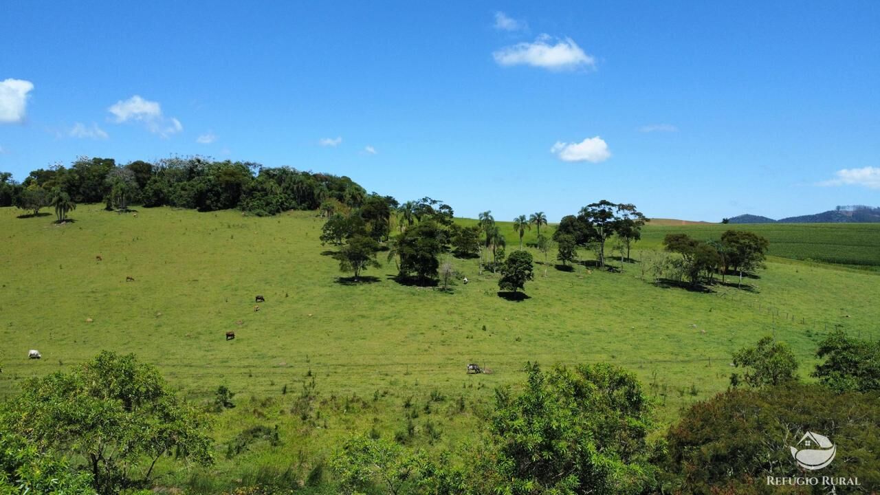 Fazenda, 82 hectares - Foto 11