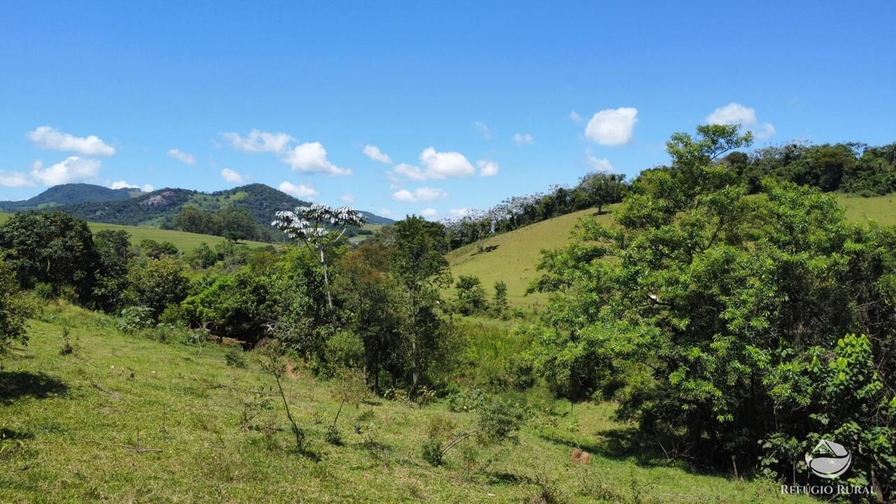 Fazenda, 82 hectares - Foto 12