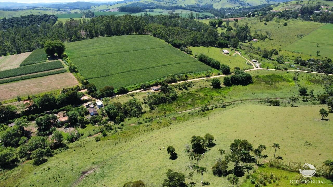 Fazenda, 82 hectares - Foto 2