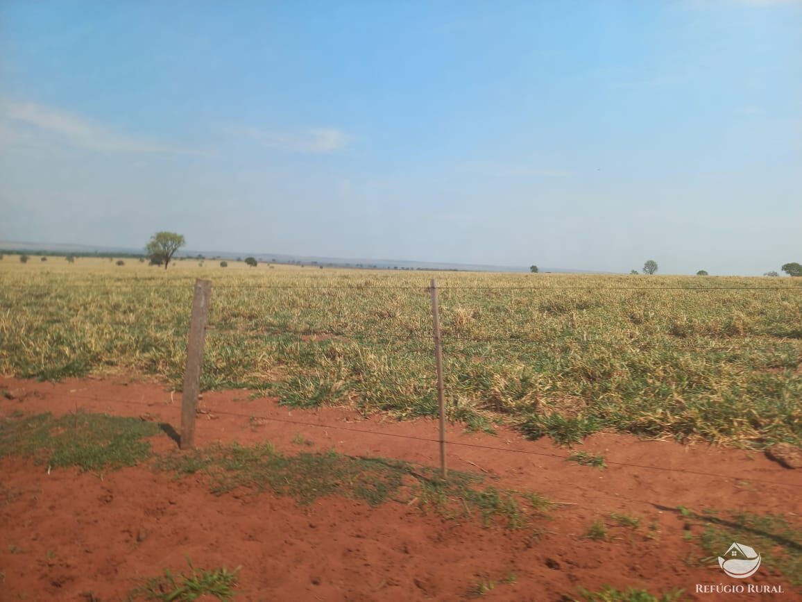 Fazenda à venda com 1 quarto, 12670000m² - Foto 14