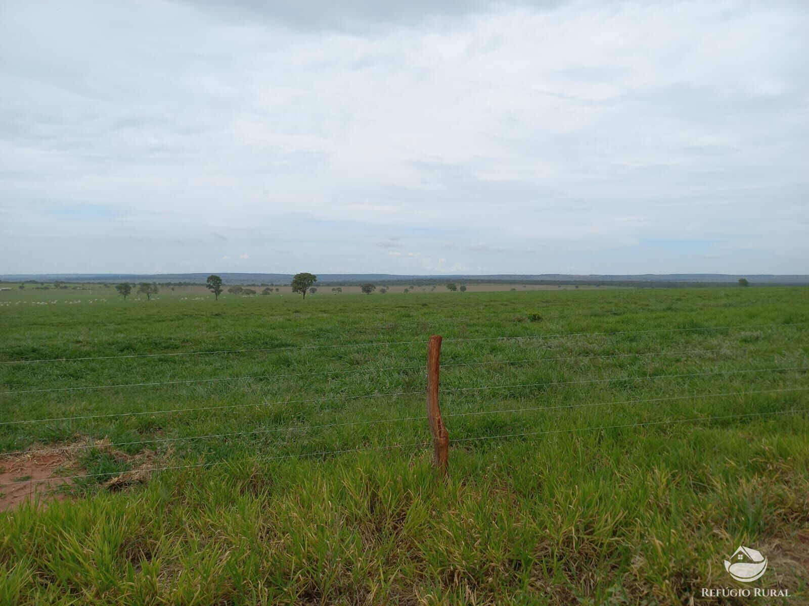 Fazenda à venda com 1 quarto, 12670000m² - Foto 5