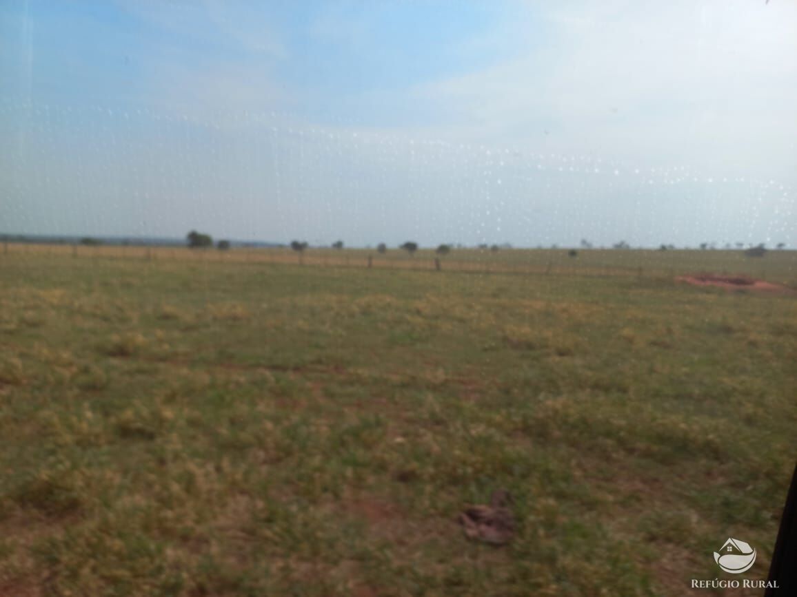 Fazenda à venda com 1 quarto, 12670000m² - Foto 10