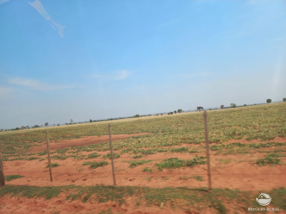 Fazenda à venda com 1 quarto, 12670000m² - Foto 9