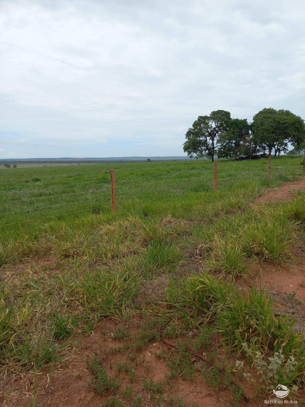 Fazenda à venda com 1 quarto, 12670000m² - Foto 1