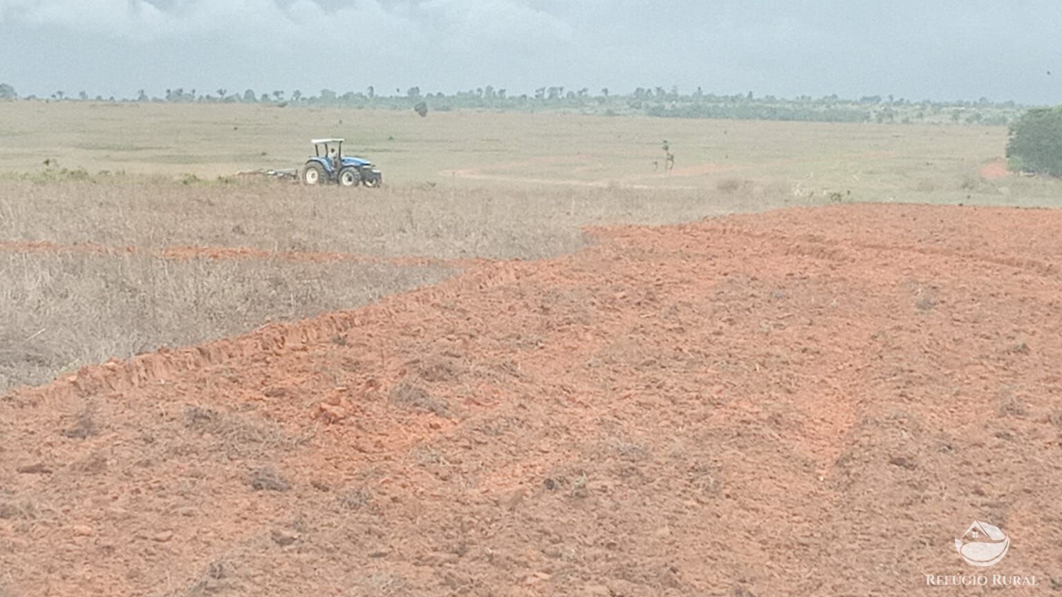 Fazenda à venda com 1 quarto, 93000000m² - Foto 12