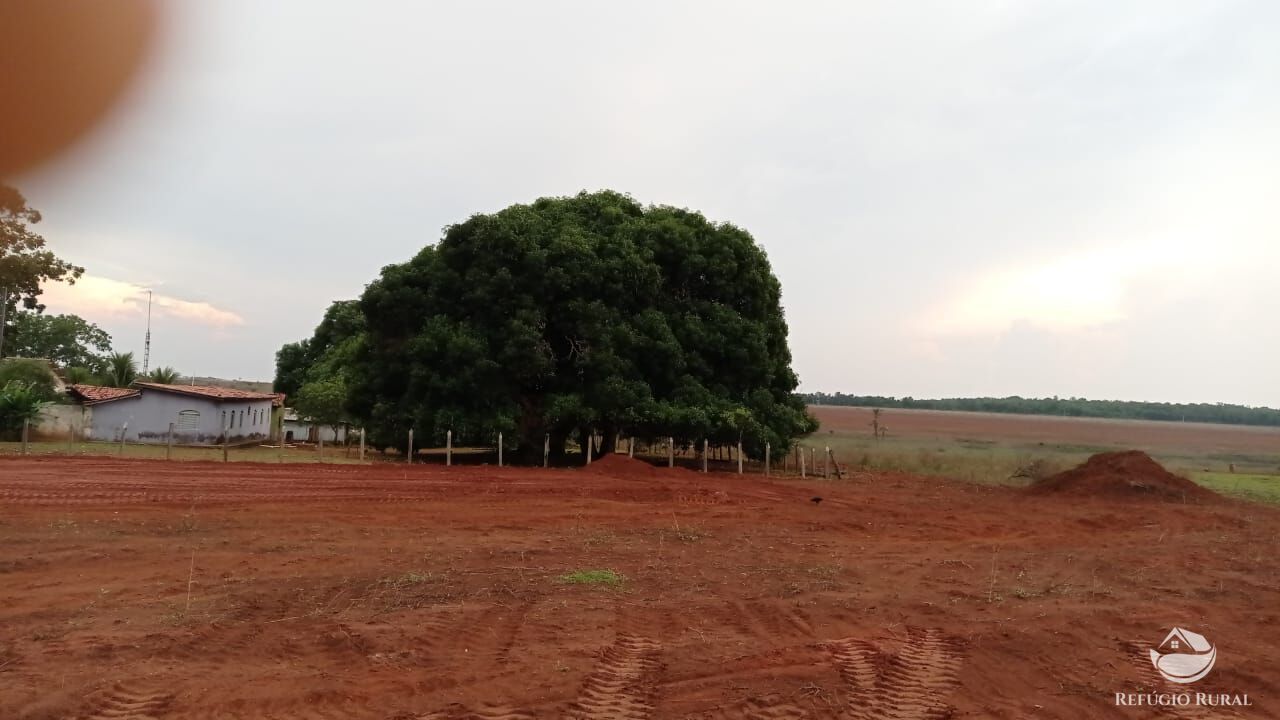 Fazenda à venda com 1 quarto, 93000000m² - Foto 2