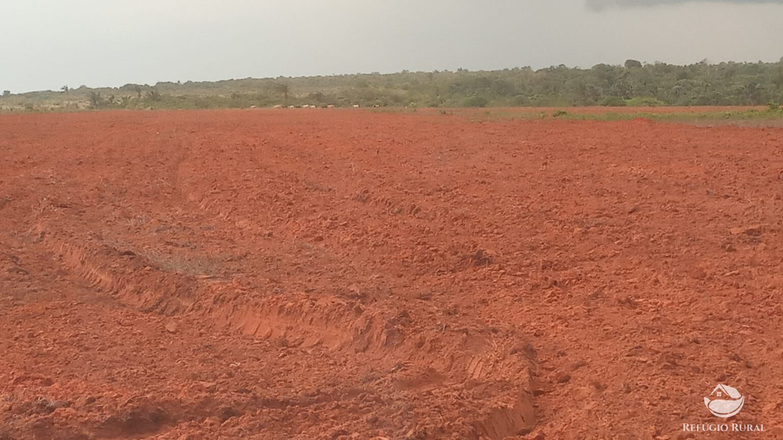 Fazenda à venda com 1 quarto, 93000000m² - Foto 5