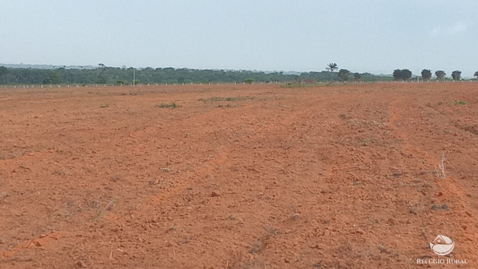 Fazenda à venda com 1 quarto, 93000000m² - Foto 3