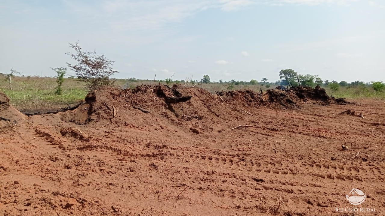 Fazenda à venda com 1 quarto, 93000000m² - Foto 10