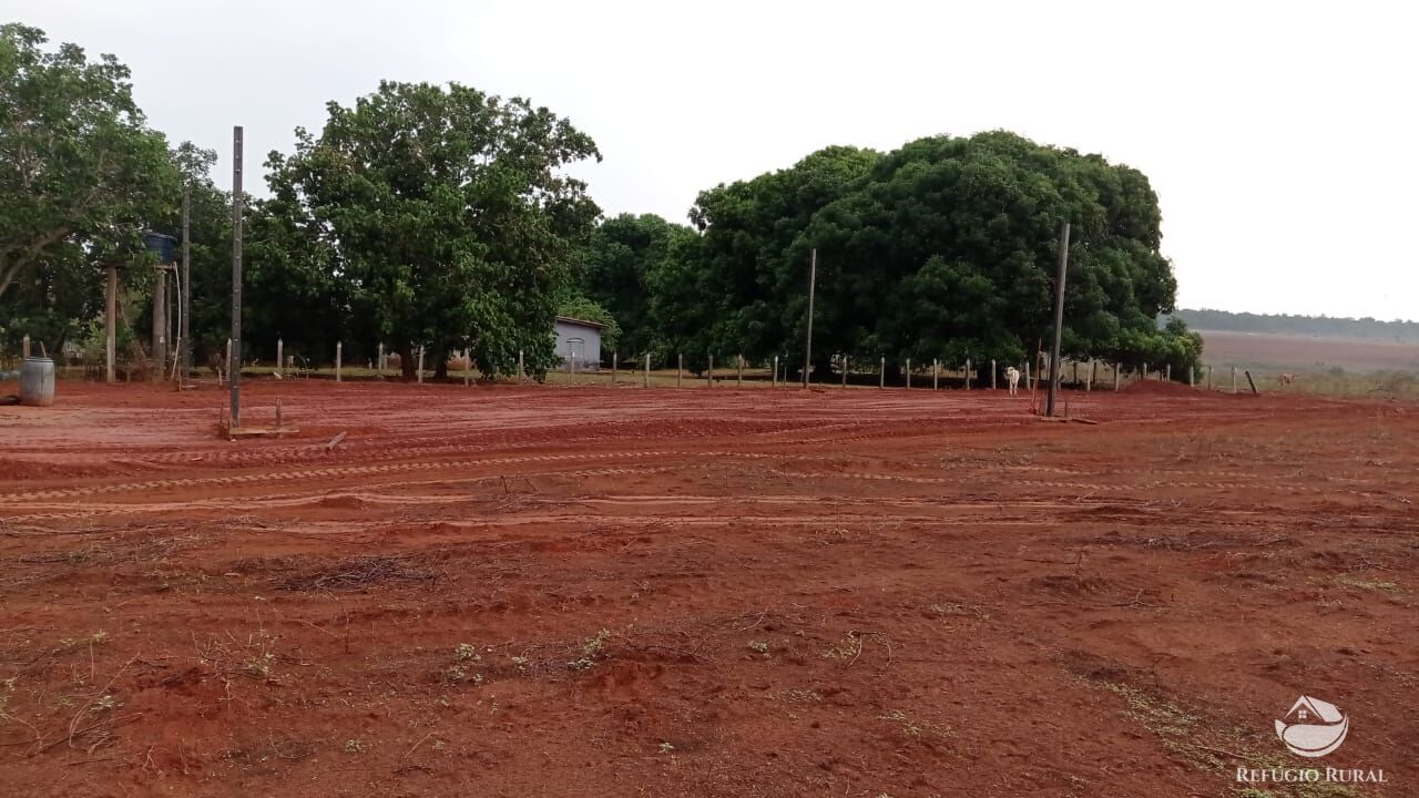 Fazenda à venda com 1 quarto, 93000000m² - Foto 1