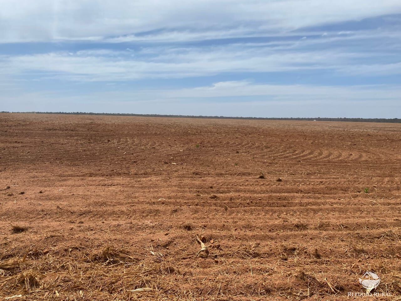 Fazenda à venda com 1 quarto, 93000000m² - Foto 11