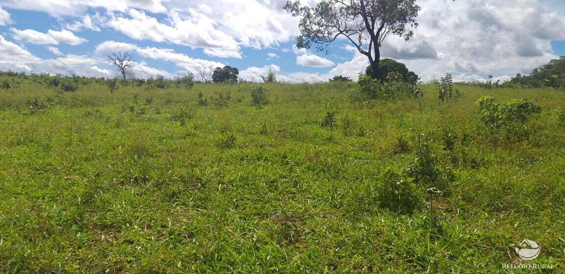 Fazenda à venda com 3 quartos, 44000000m² - Foto 2