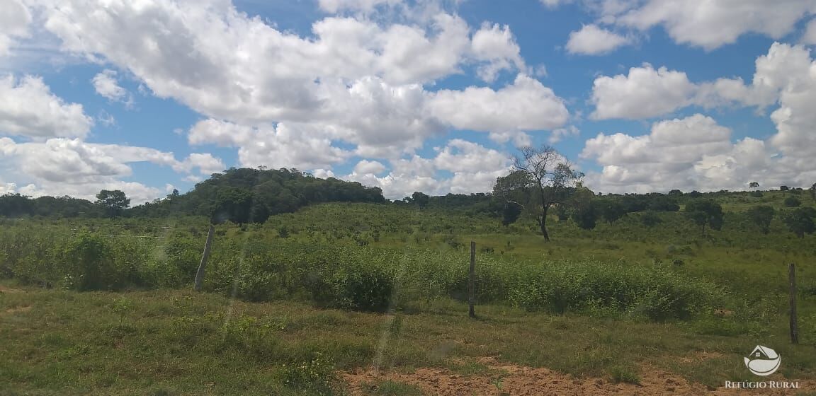 Fazenda à venda com 3 quartos, 44000000m² - Foto 8