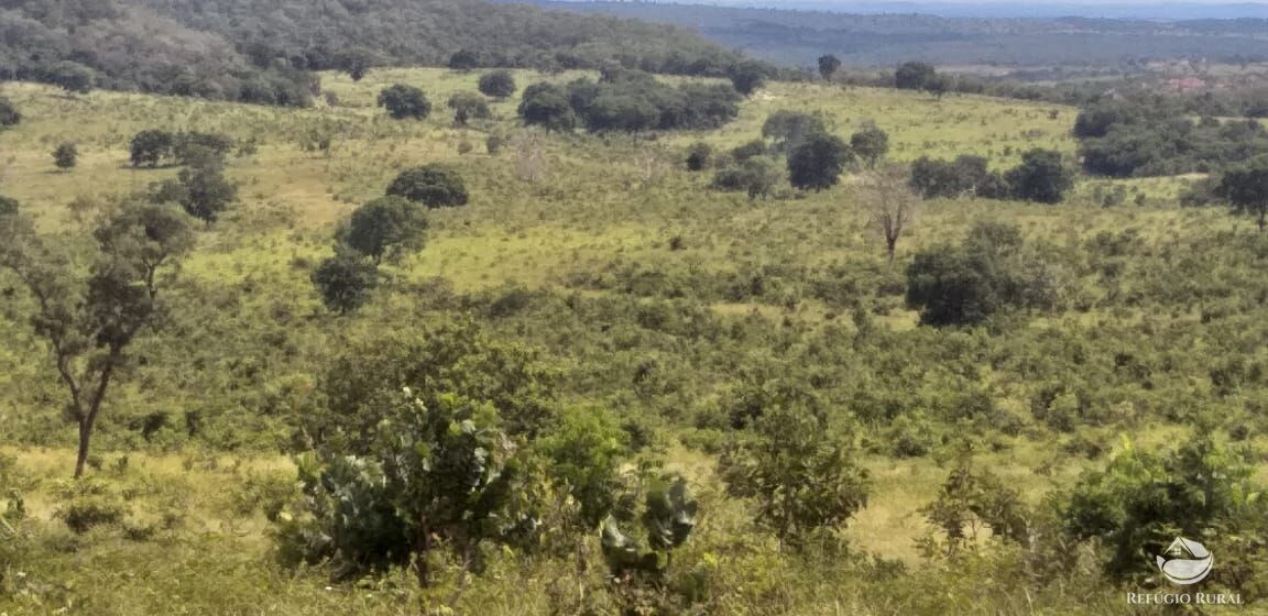 Fazenda à venda com 3 quartos, 44000000m² - Foto 4