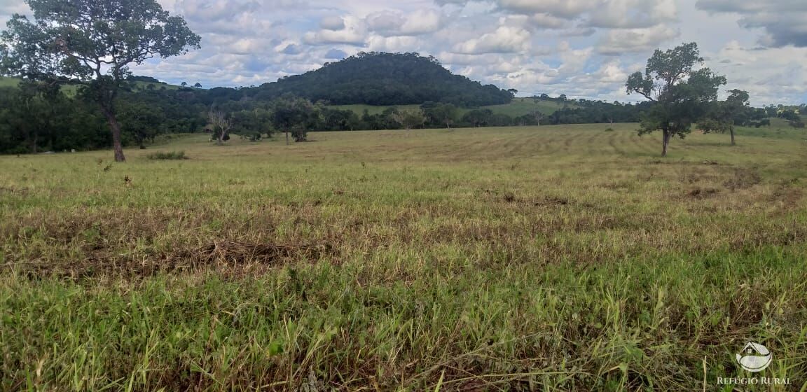 Fazenda à venda com 3 quartos, 44000000m² - Foto 7