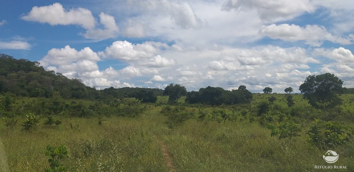 Fazenda à venda com 3 quartos, 44000000m² - Foto 5