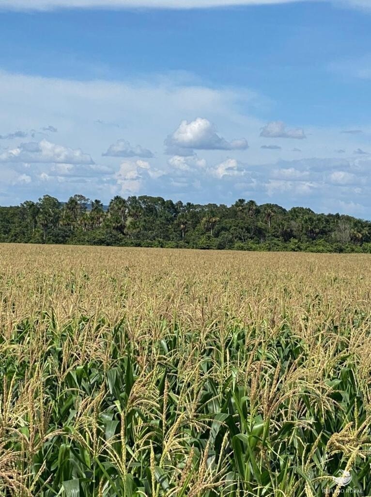 Fazenda à venda com 1 quarto, 56000000m² - Foto 33