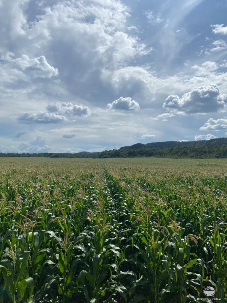 Fazenda à venda com 1 quarto, 56000000m² - Foto 20