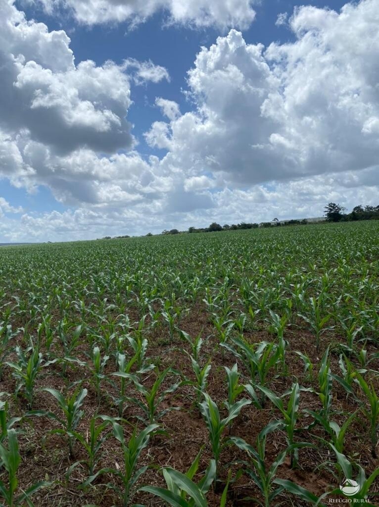 Fazenda à venda com 1 quarto, 56000000m² - Foto 34