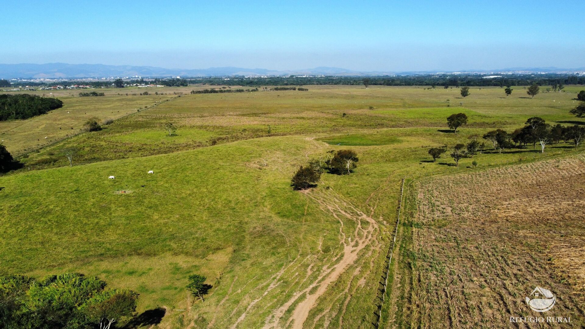 Fazenda à venda com 8 quartos, 960800m² - Foto 5