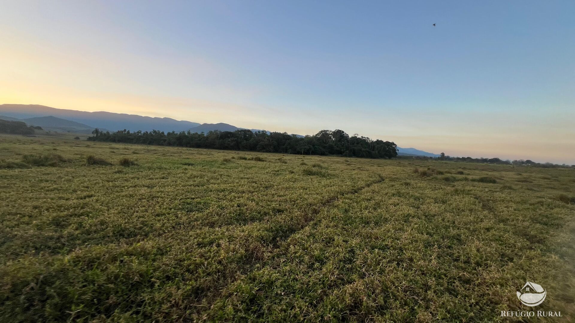 Fazenda à venda com 8 quartos, 960800m² - Foto 4