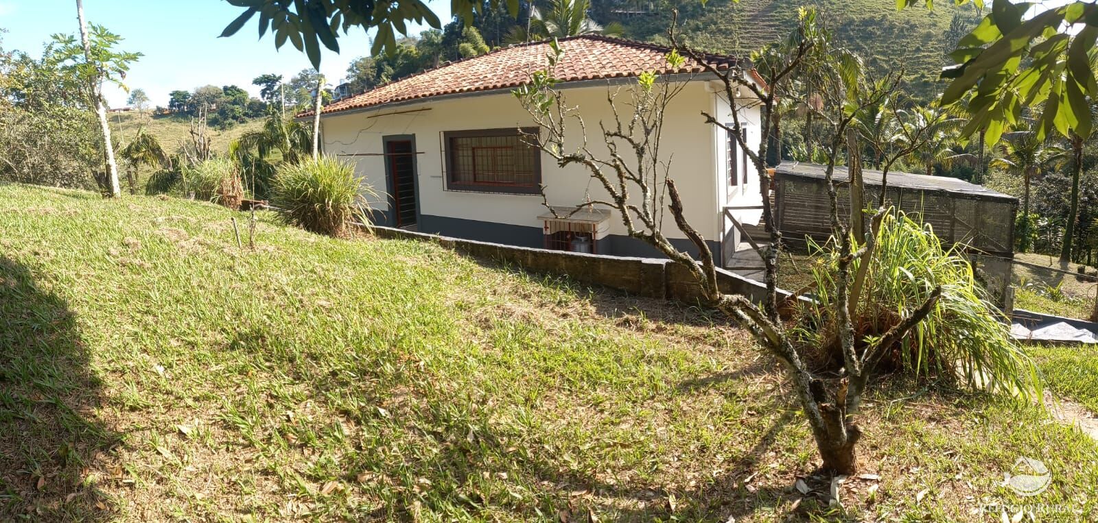 Fazenda à venda com 5 quartos, 24200m² - Foto 6