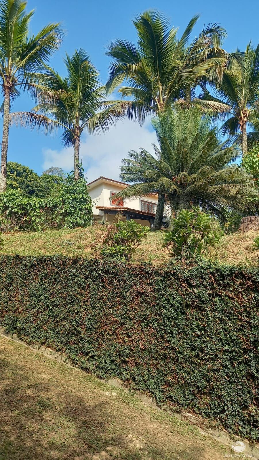 Fazenda à venda com 5 quartos, 24200m² - Foto 2