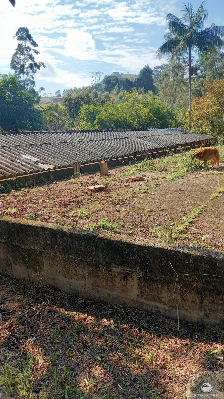 Fazenda à venda com 5 quartos, 24200m² - Foto 17