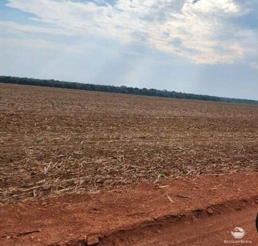 Fazenda à venda com 1 quarto, 14640000m² - Foto 6