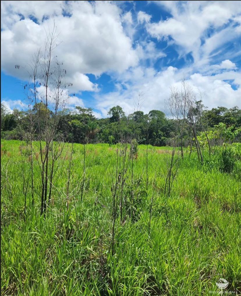 Fazenda à venda com 1 quarto, 14640000m² - Foto 4