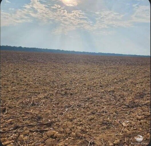 Fazenda à venda com 1 quarto, 14640000m² - Foto 8
