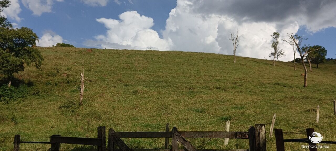 Terreno, 2 hectares - Foto 12