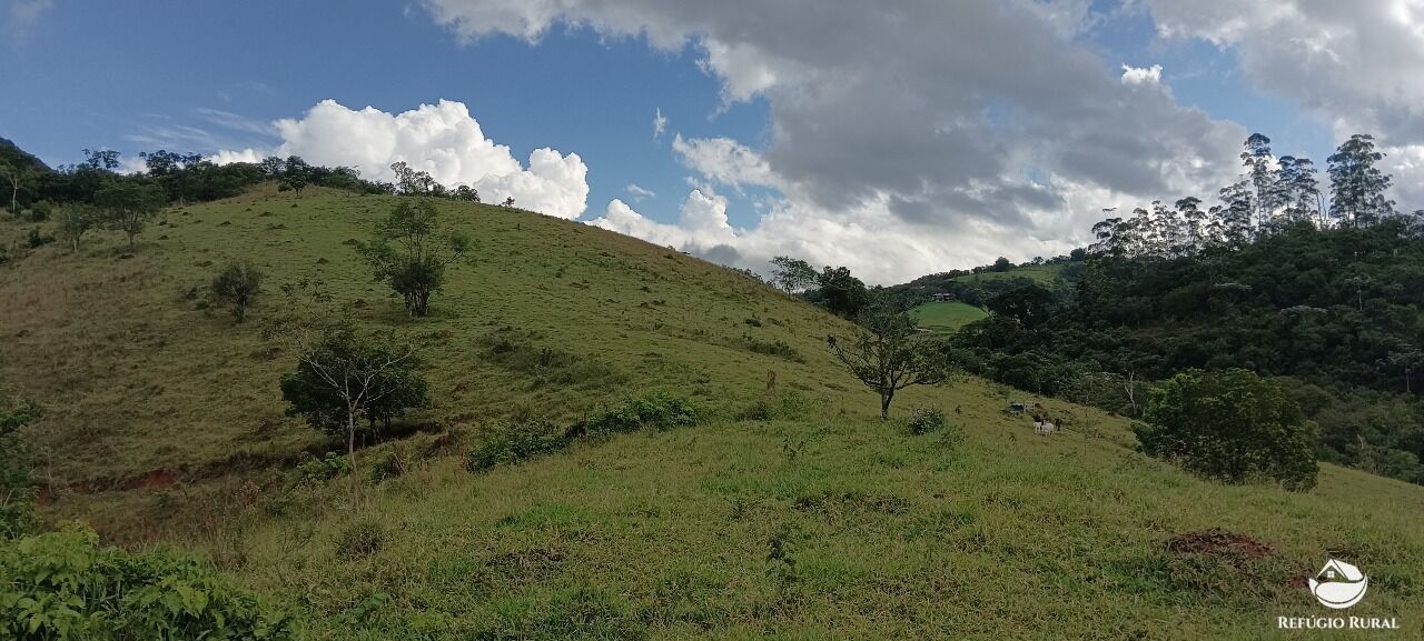 Terreno, 2 hectares - Foto 17