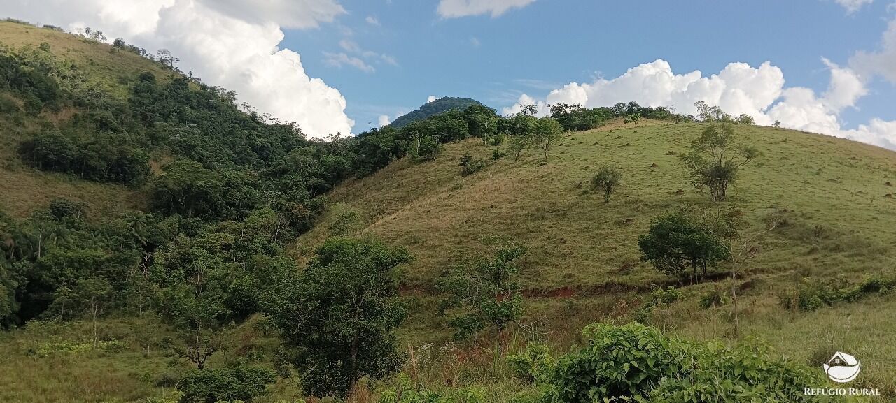 Terreno, 2 hectares - Foto 18