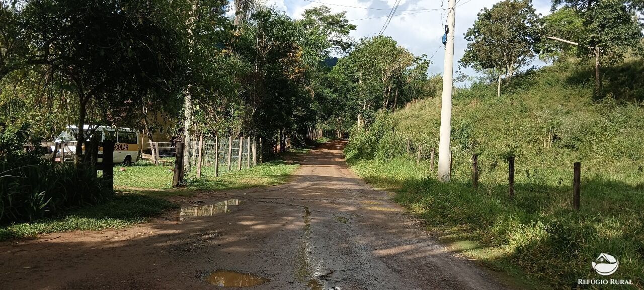 Terreno, 2 hectares - Foto 13