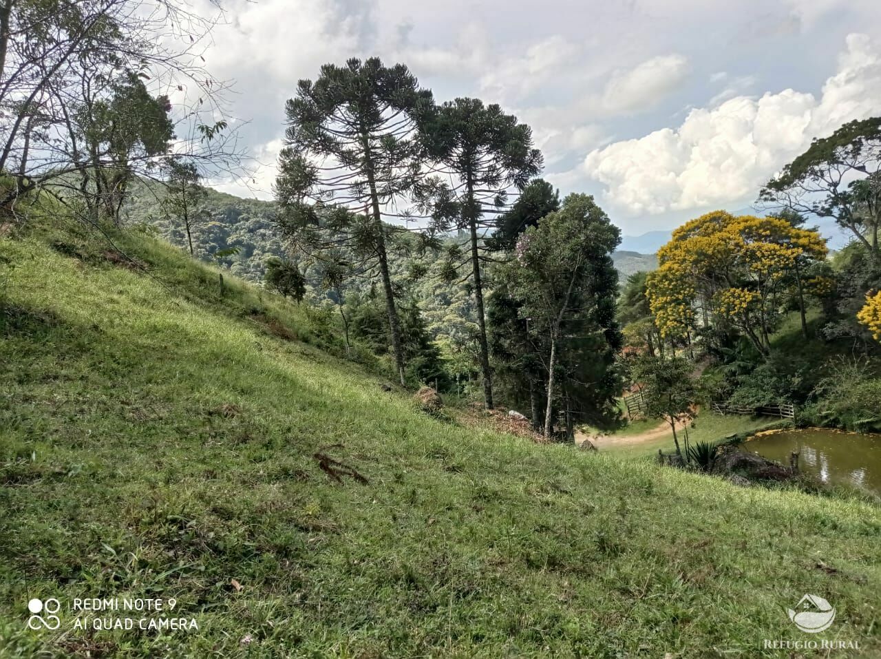 Terreno à venda, 20000m² - Foto 13