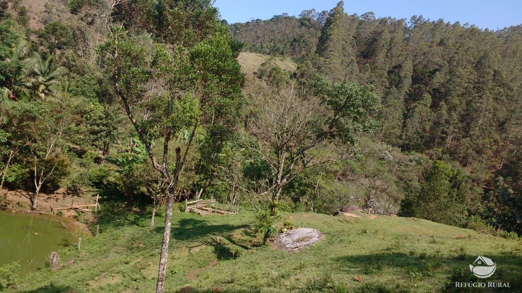 Terreno à venda, 20000m² - Foto 34