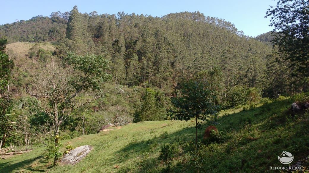 Terreno à venda, 20000m² - Foto 45