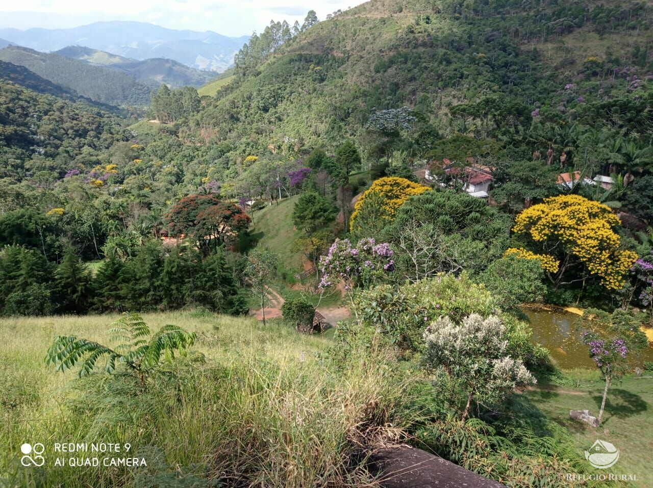 Terreno à venda, 20000m² - Foto 7