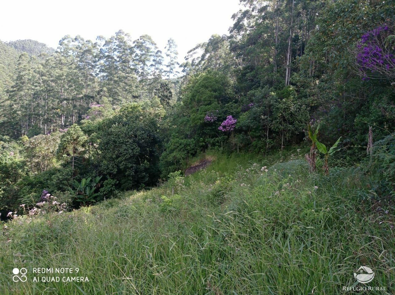 Terreno à venda, 20000m² - Foto 8