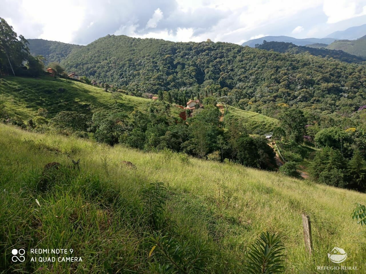 Terreno à venda, 20000m² - Foto 11