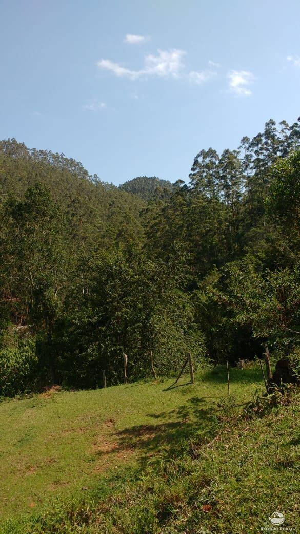 Terreno à venda, 20000m² - Foto 30