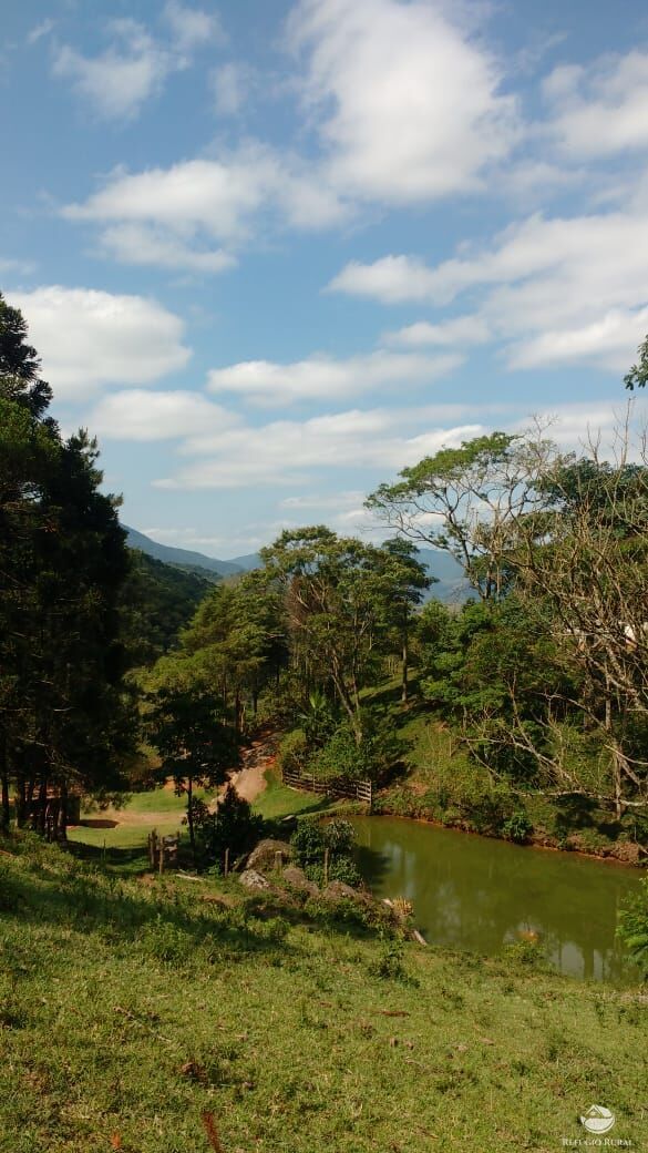 Terreno à venda, 20000m² - Foto 41