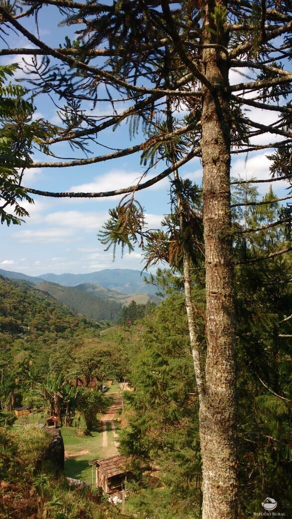 Terreno à venda, 20000m² - Foto 4