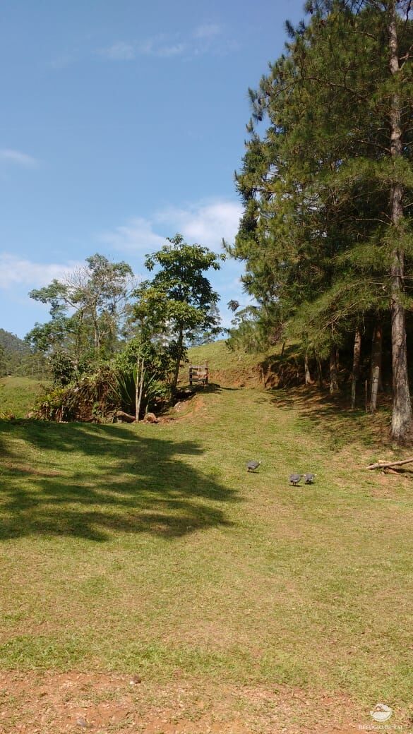 Terreno à venda, 20000m² - Foto 44