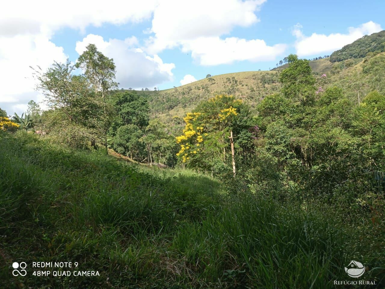 Terreno à venda, 20000m² - Foto 10