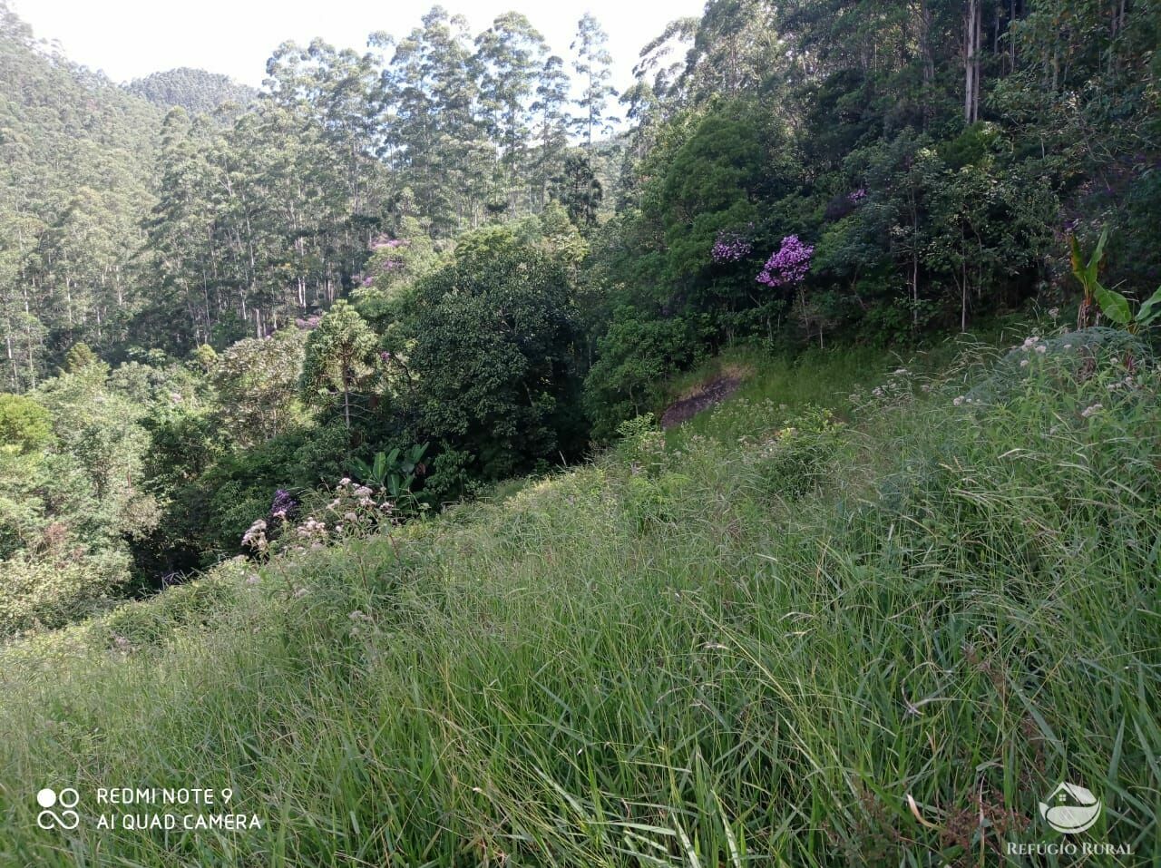 Terreno à venda, 20000m² - Foto 24