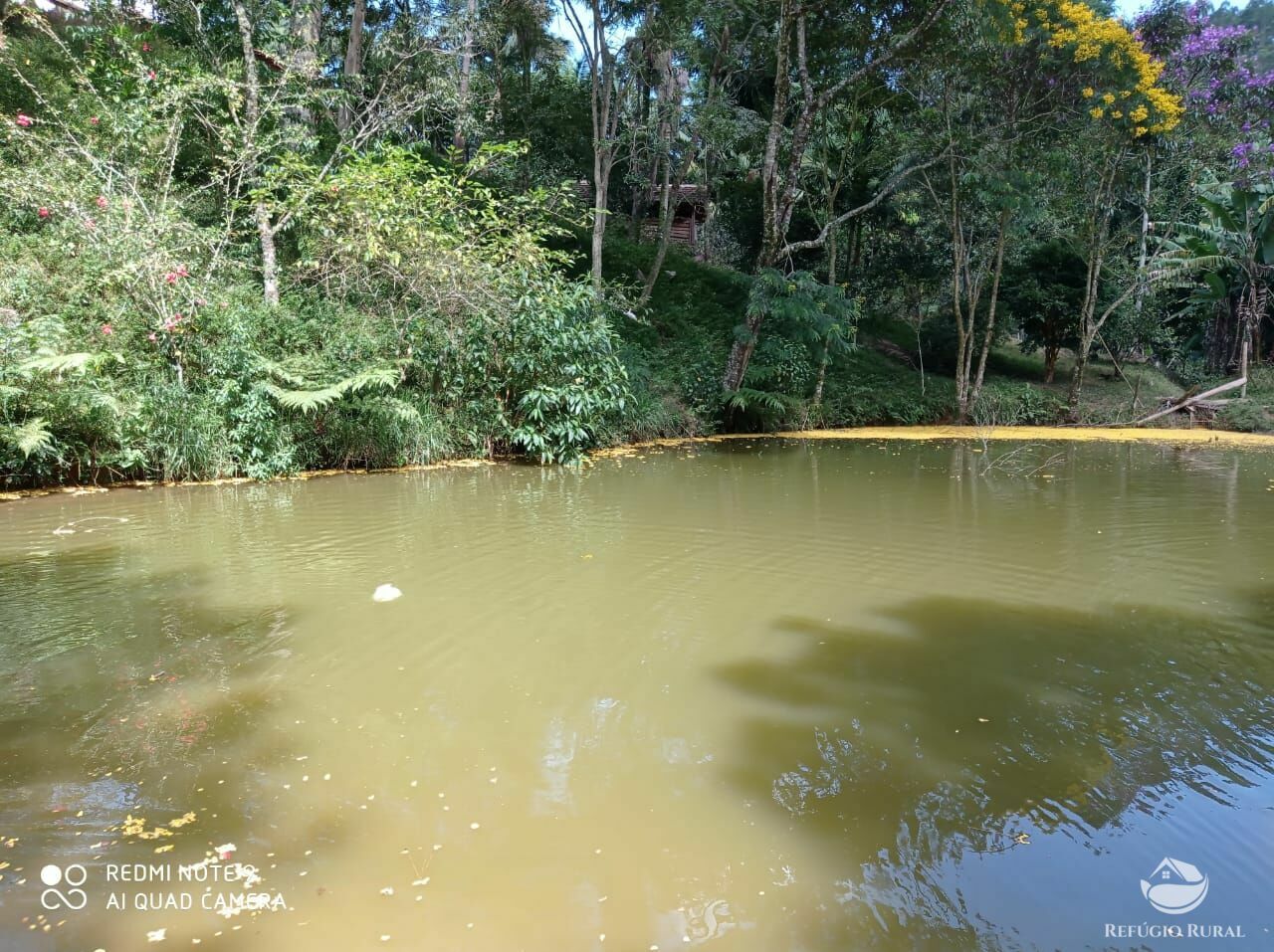 Terreno à venda, 20000m² - Foto 20