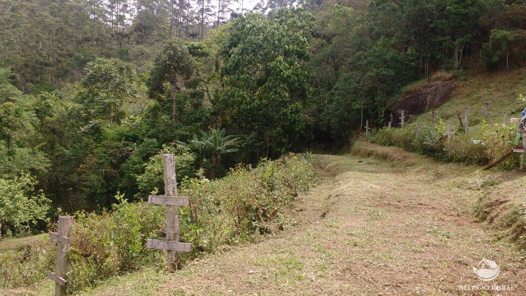 Terreno à venda, 20000m² - Foto 43